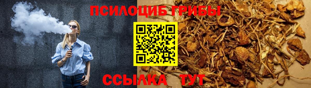 Псилоцибиновые грибы GOLDEN TEACHER  Вход с VPN  Шелехов  Псилоцибиновые грибы MAGIC MUSHROOMS 