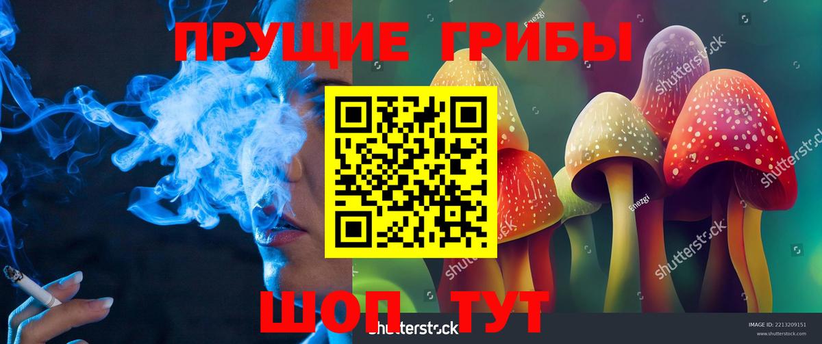 Псилоцибиновые грибы GOLDEN TEACHER Шелехов