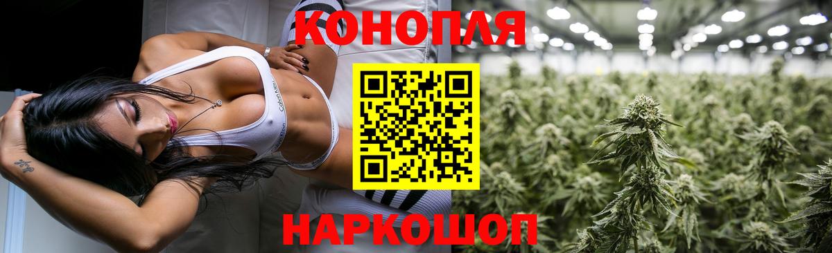 Гашиш Шелехов